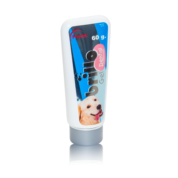 BRILLO DENTAL