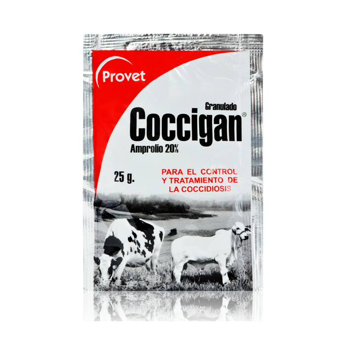 COCCIGAN POLVO_1