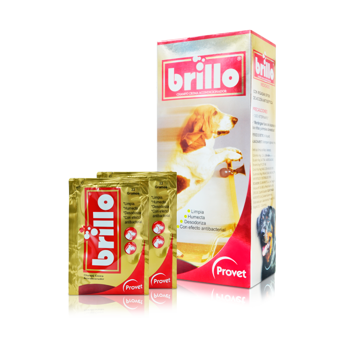 SHAMPOO BRILLO_1