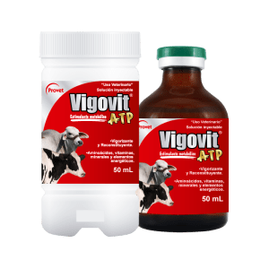 VIGOVIT ATP