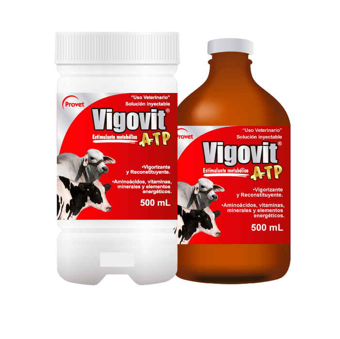 VIGOVIT ATP_2