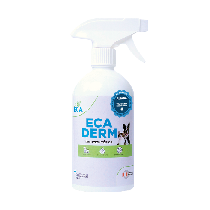 ECADERM SPRAY 3