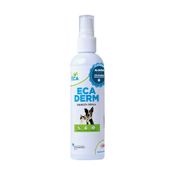 ECADERM SPRAY 4