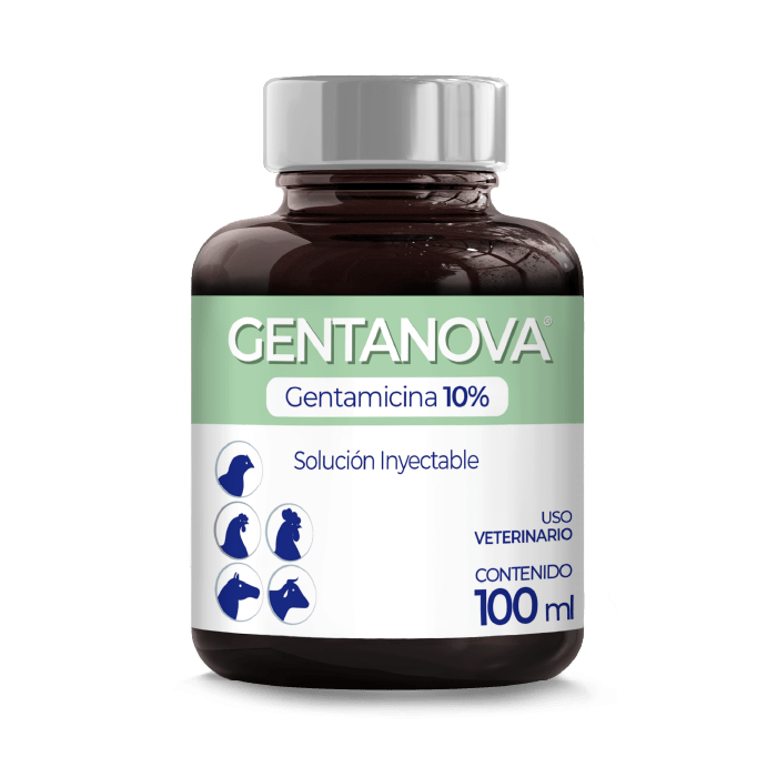 GENTANOVA 2