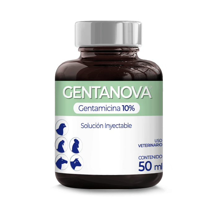 GENTANOVA 3
