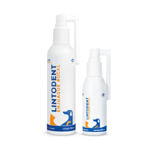 LINTODENT ENJUAGUE BUCAL