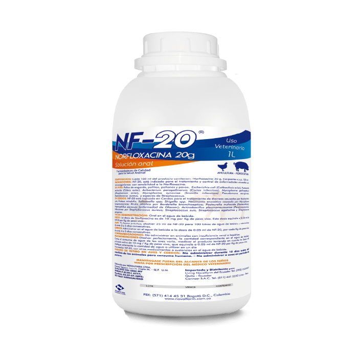 NF-20 2