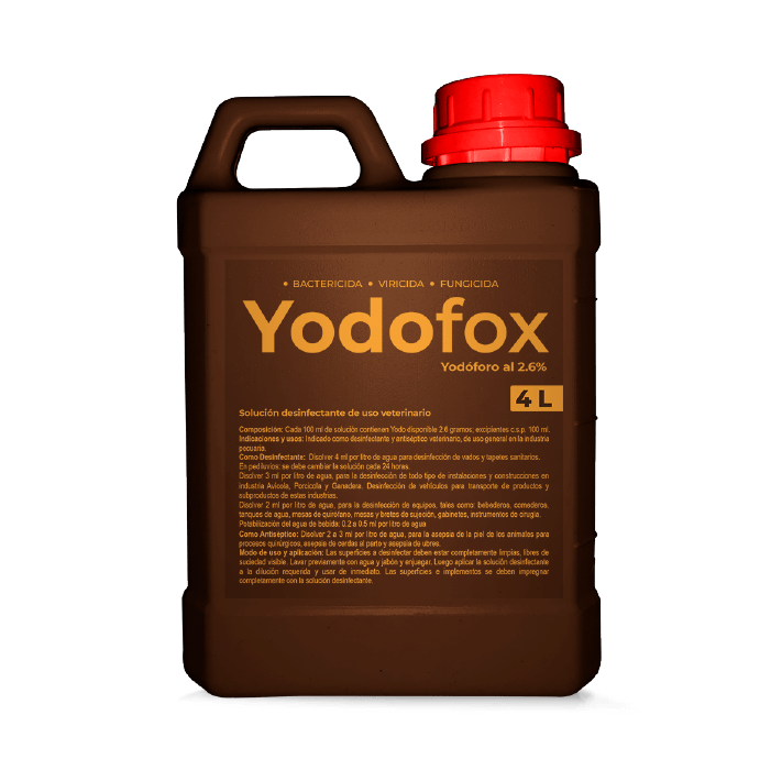 YODOFOX 3