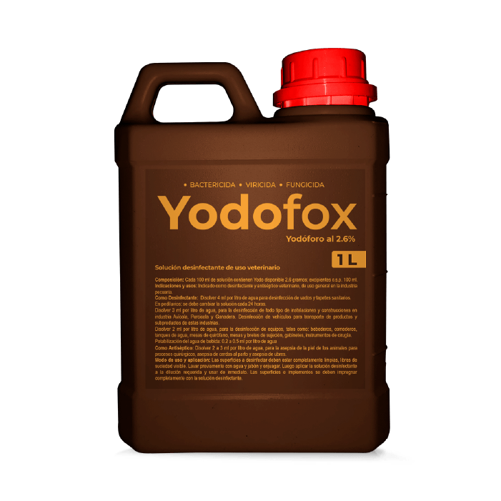 YODOFOX 4